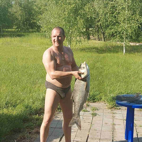 Vlad
