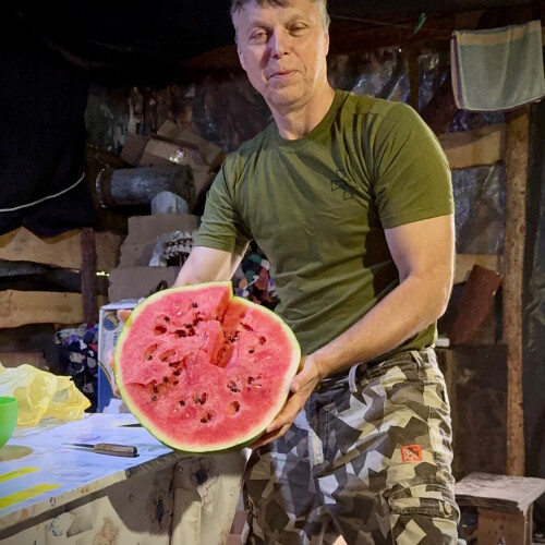 Олександр