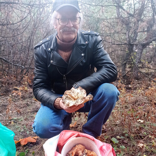 Олександр