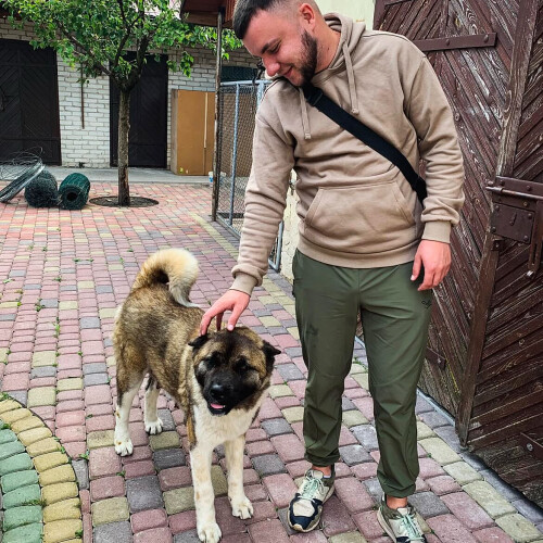 Артем