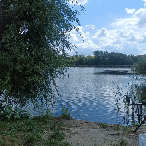 Макс