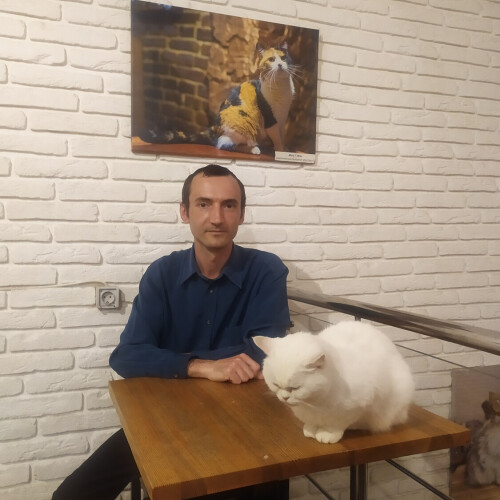 Богдан