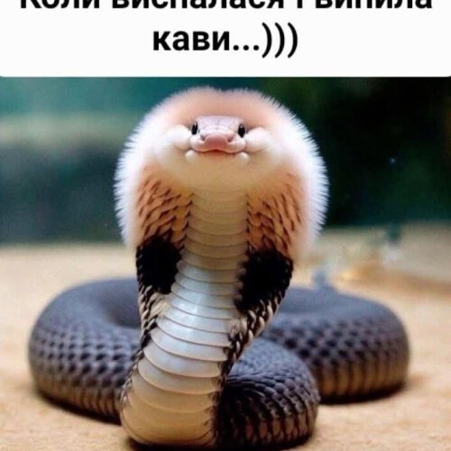Людмила