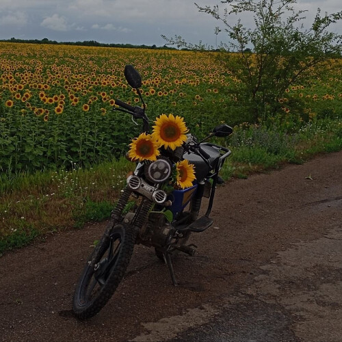 Андрей