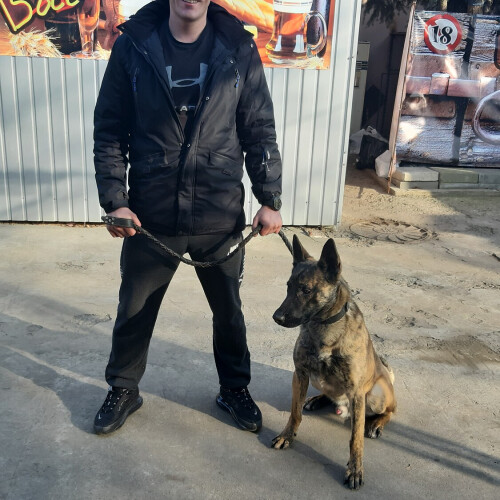 Олександр