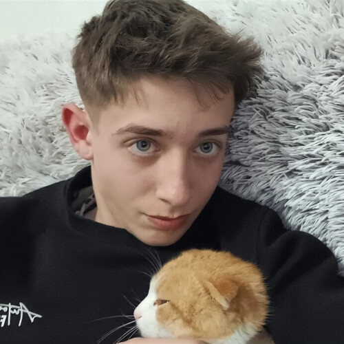 Антон