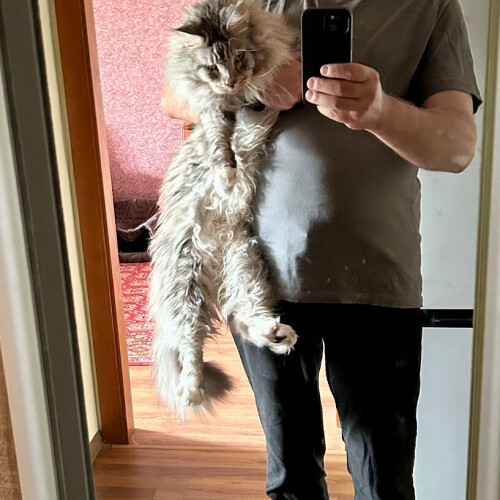 Владимир